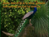 real narration about imam mahdi and holy mosque of jamkaran