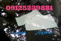 ترمیم سنگ خوردگی شیشه مگان 09125239881