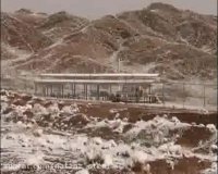 جواد توکلی طرقی