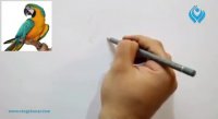 آموزش نقاشی از پرنده با مدادرنگی