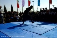 ناگیتانا توست سنسی صفیان