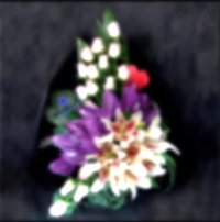 گلفروشی آنلاین شیراز