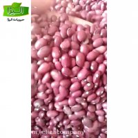 فروش لوبیا قرمز زنجان