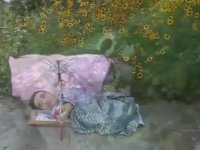 کار و اندیشه