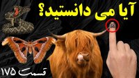 آیا می دانستید؟ دانستنی های جالب 175