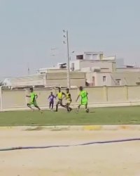 یک گل زیبا از نیمارمون