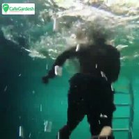 تفریح به سبک مکزیکی - کافه گردش