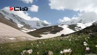 طبیعت زیبای کوهستان الوند همدان