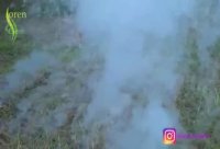 👈2واکنش شیمیایی