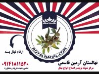 خرید و فروش و اطلاع از قیمت نهال پسته 09141811520