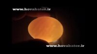 نور بینی و کندلینگ تخم مرغ