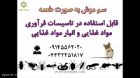 سم موش کش قوی فسترک بلاکس Fastrak Blox- مرگ موش