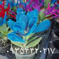 دستگاه مخمل پاش/دستگاه آبکاری /جیرپاش/مخمل پاش09354420217