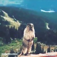 حال و روز حال حاضر ما ایرانی ها