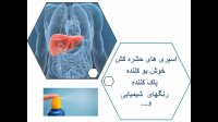 چگونه از کبد خود مراقبت کنیم؟