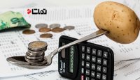چرا پولدارها پولدارتر و فقیرها فقیرتر می شوند؟