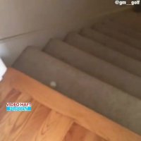 بازی خلاقانه گلف در خانه