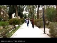 باغ گلشن طبس و پلیکان های آن