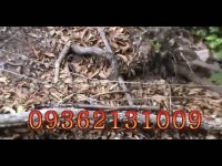 تهران فلزیاب09362131009-09372131009