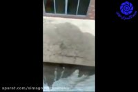 یک ایده ساده برای عکاسی در بازتاب آب