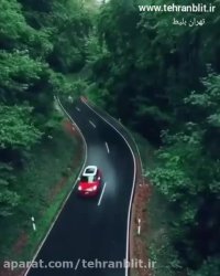 رانندگی توی جنگل