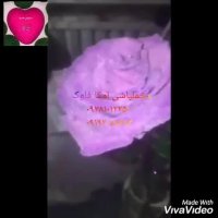 مخمل پاش روی گلهای طبیعی 02156646297