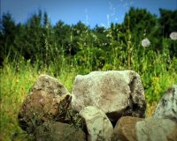 دانلود انیمیشن زندگی خصوصی حشرات 2006 - قسمت 3 - داستان عشق