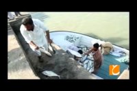 روایت "حالا خورشید" از بهاری ترین منطقه جنوب کشور