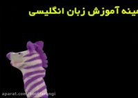 بی بی انیشتین - BABY EINSTEIN