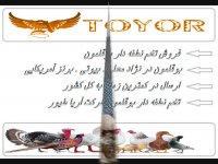 فروش تخم نطفه دار بوقلمون با بهترین کیفیت و تضمینی