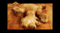 روغن زنجبیل SalamatBazar.com