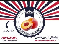 خرید و فروش و اطلاع از قیمت نهال هلو 09141811520