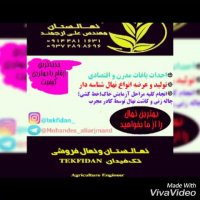 نهالستان تخصصی تک فیدانتولید نهال مثمر و غیرمثمر 0914481163109144811631
