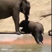 پدر مادرا  بذارید بچه ها خودشون کارهاشون رو انجام بدن و مشکلاتشون رو حل کنن