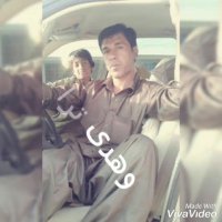 وهدی ترا دیتو