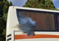 دستگیری پرتاب کنندگان نارنجک به اتوبوس پرسپولیس