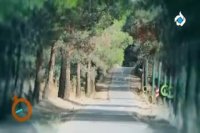 1 دقیقه تهران این قسمت پارک جنگلی چیتگر