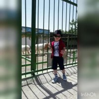 تولدت مبارک پسرم