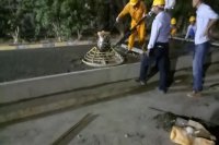 کنترل ماله موتوری