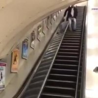 وقتی" پله برقی و برعکس میری بالا" همین میشه