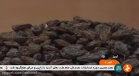 آجیل و خشكبار تبریز برندی ملی و جهانی Tabriz nuts
