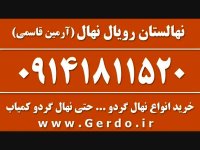 خرید نهال گردو کاما پیوندی 09141811520