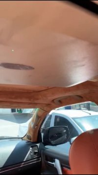 نیوفیس لندکروز