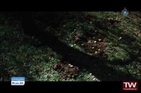 مستند یک زندگی-خانه ای در مه