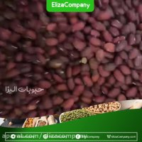 فروش انواع لوبیا قرمز