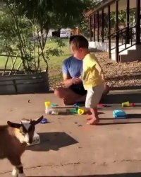 درگیری دو تا بامزه