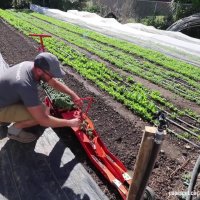 سیستم پیوند عجیب در کشاورزی!