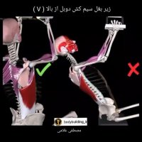 آموزش حرکات بدنسازی