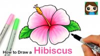 نقاشی گل ساده - گل هیبیسکوس یا چای ترش