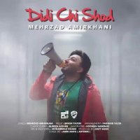 مهرزاد امیرخانی دیدی چی شد آهنگ